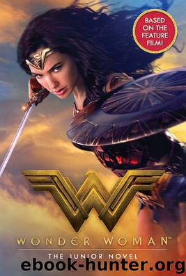 Wonder Woman by Steve Korte