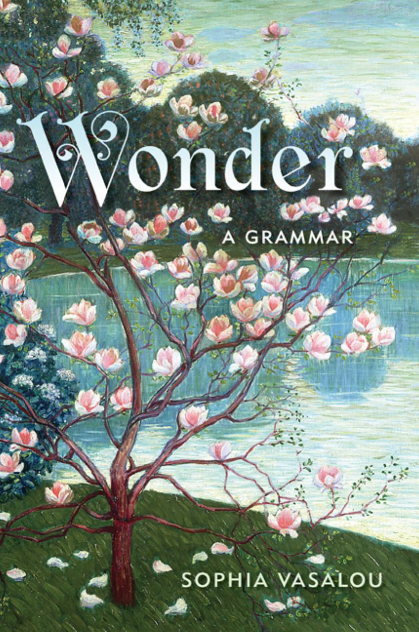 Wonder a grammar by Bennett Jenn;Campochiaro Michael;Vasalou Sophia