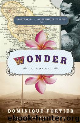 Wonder by Dominique Fortier