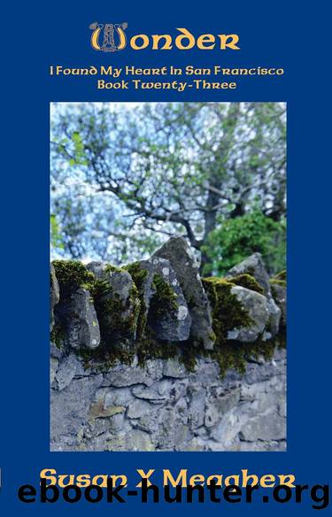 Wonder by Susan X. Meagher