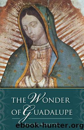 Wonder of Guadalupe by Johnston Francis
