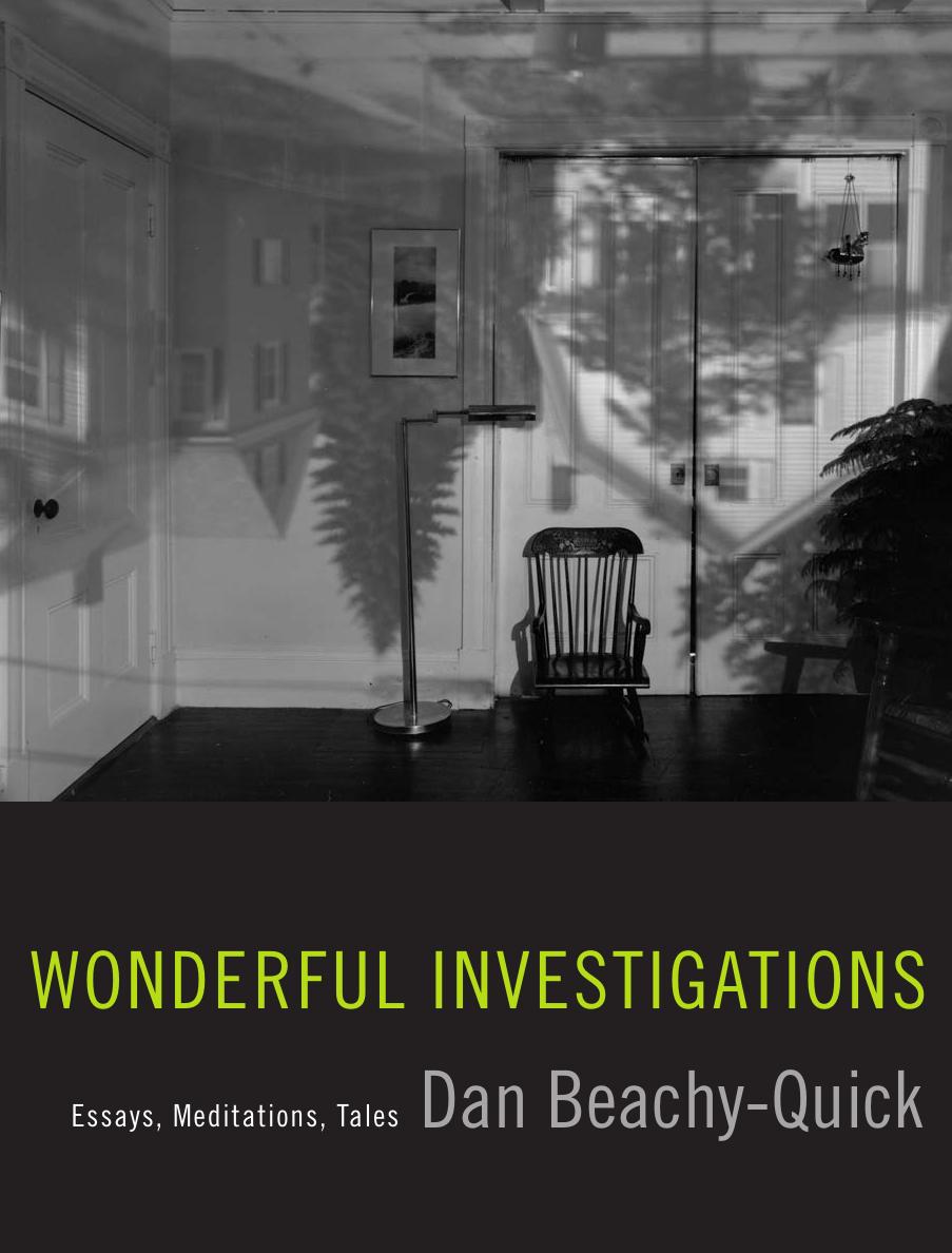 Wonderful Investigations: Essays, Meditations, Tales by Dan Beachy-Quick