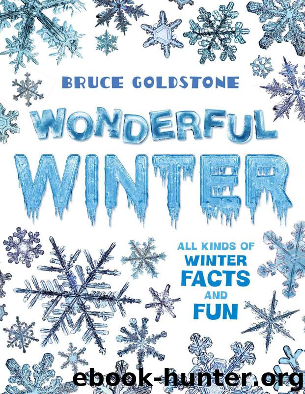 Wonderful Winter: All Kinds of Winter Facts and Fun by Bruce Goldstone