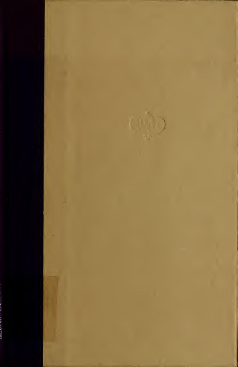 Wonderful fool : a novel by Endo Shusaku 1923-1996