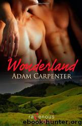 Wonderland by Adam Carpenter & Curtis C. Comer & Jeff Wilcox