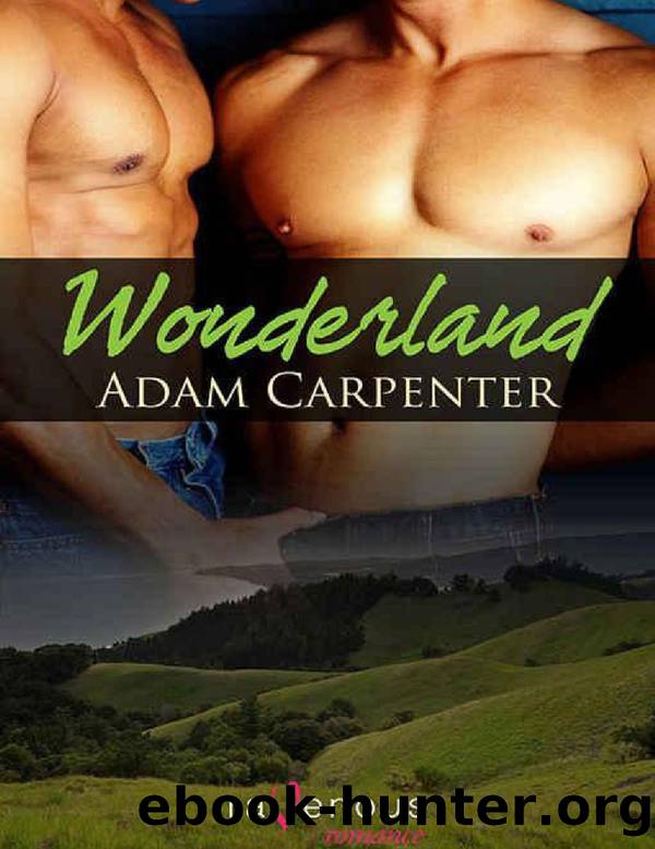 Wonderland by Adam Carpenter