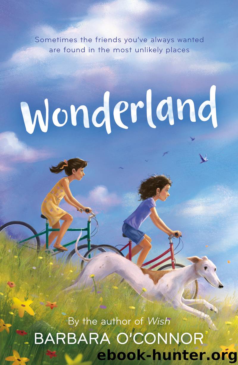 Wonderland by Barbara O'Connor