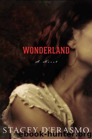 Wonderland by Stacey D'Erasmo