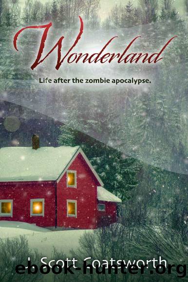 Wonderland: Life After the Zombie Apocalypse by J. Scott Coatsworth
