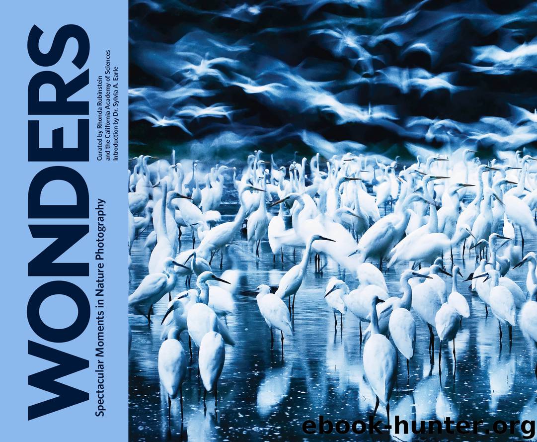 Wonders by California Academy of Sciences