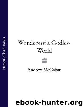 Wonders of a Godless World by Andrew McGahan