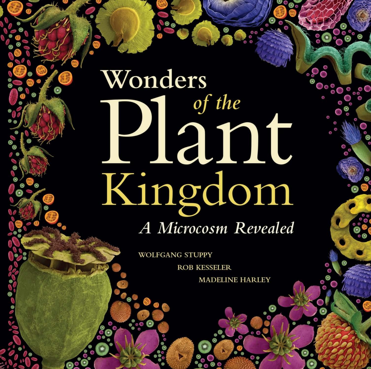 Wonders of the Plant Kingdom: A Microcosm Revealed by Wolfgang Stuppy and Rob Kesseler and Madeline Harley