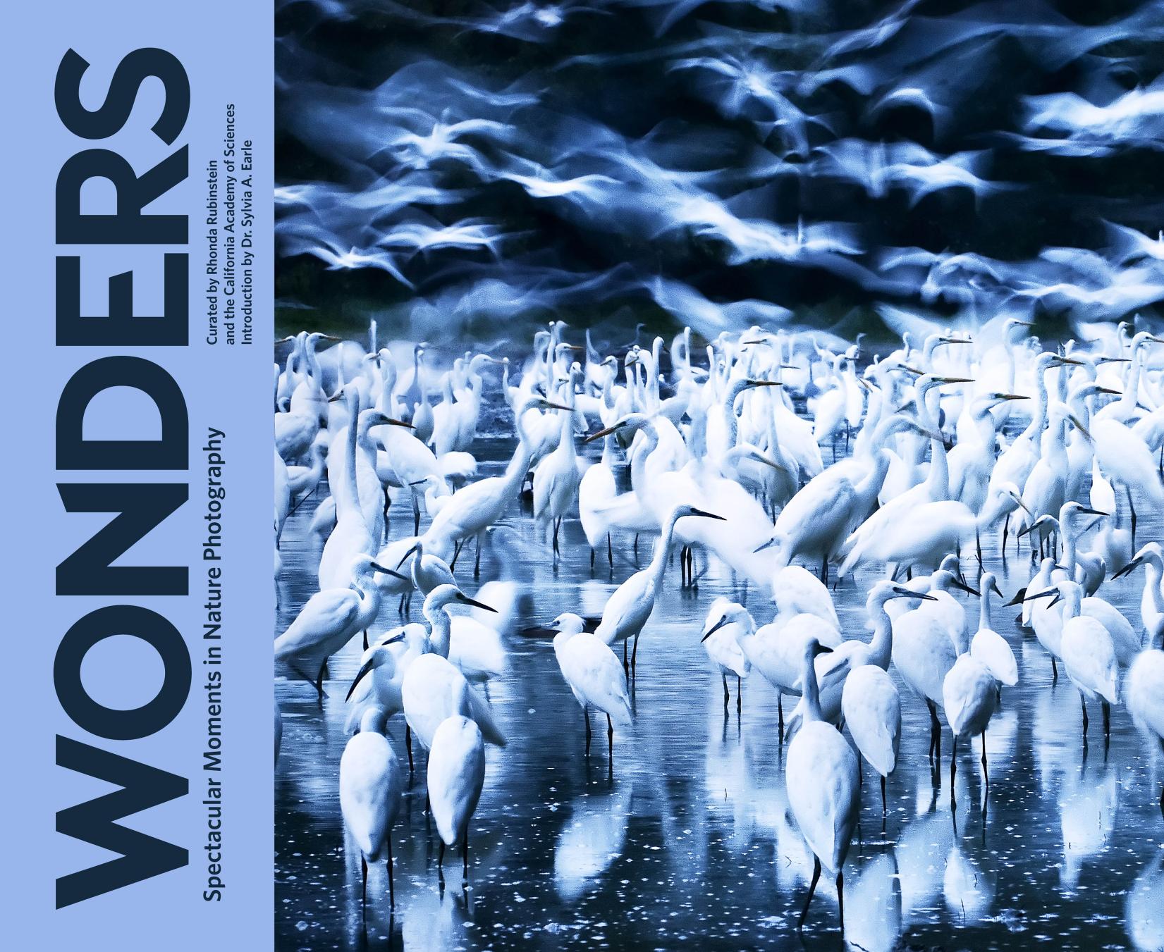 Wonders: Spectacular Moments in Nature Photography by Rhonda Rubinstein