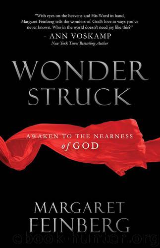 Wonderstruck by Feinberg Margaret