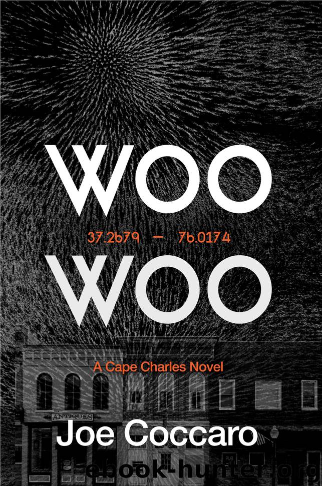 Woo Woo by Joe Coccaro