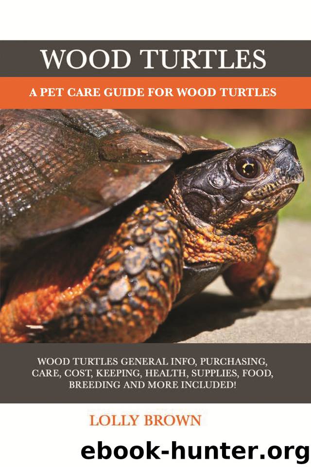 Wood Turtles: A Pet Care Guide for Wood Turtles by Lolly Brown
