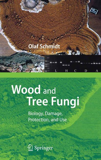Wood and Tree Fungi: Biology, Damage, Protection, and Use by Olaf Schmidt
