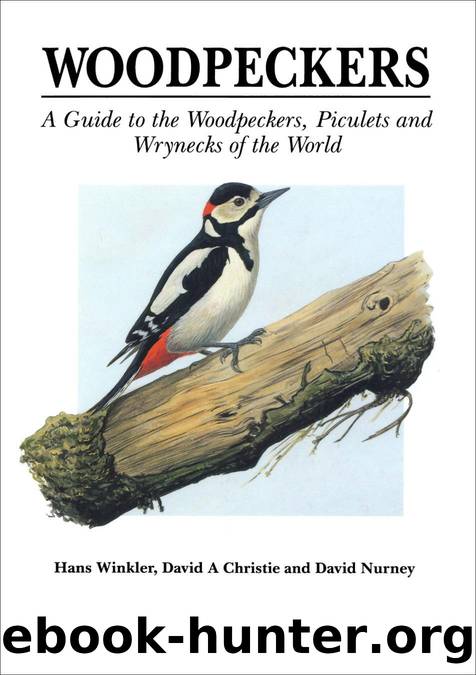 Woodpeckers by Hans Winkler