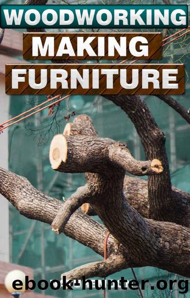 Woodworking Plans and Projects for Beginners: Mastering the Essentials of Craftsmanship by The Naturemoon