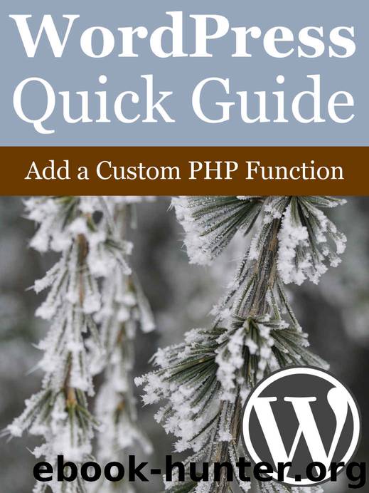 WordPress Quick Guide: Add a Custom PHP Function by Elias Ericson