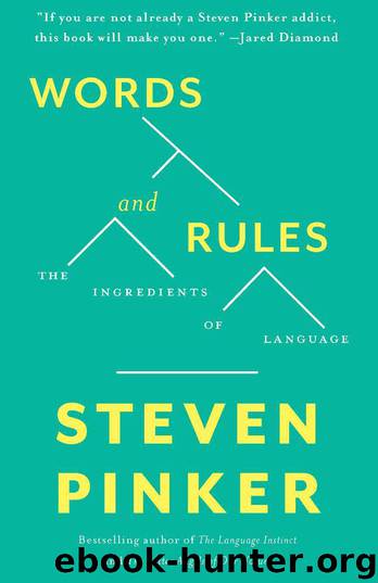 Words and Rules by Steven Pinker