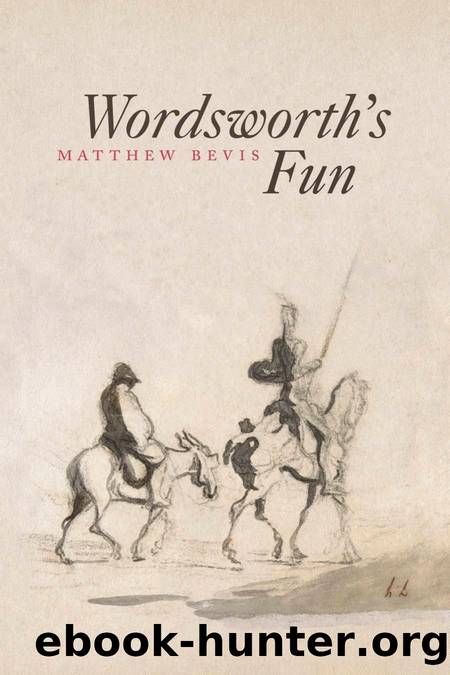 Wordsworth's Fun by Matthew Bevis