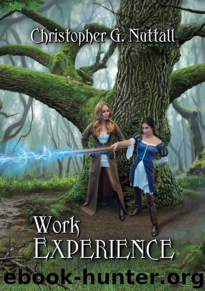 Work Experience (Schooled in Magic Book 4) by Christopher Nuttall