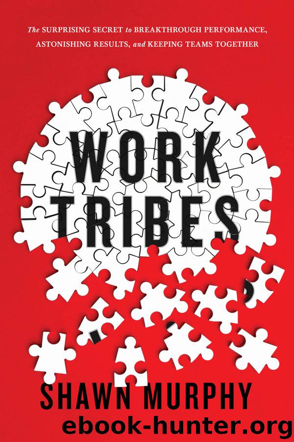 Work Tribes by Shawn Murphy