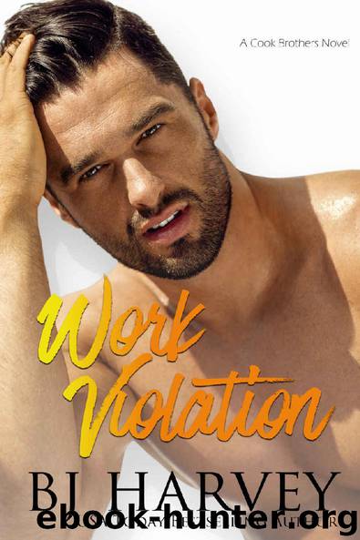 Work Violation (Cook County Book 2) by BJ Harvey