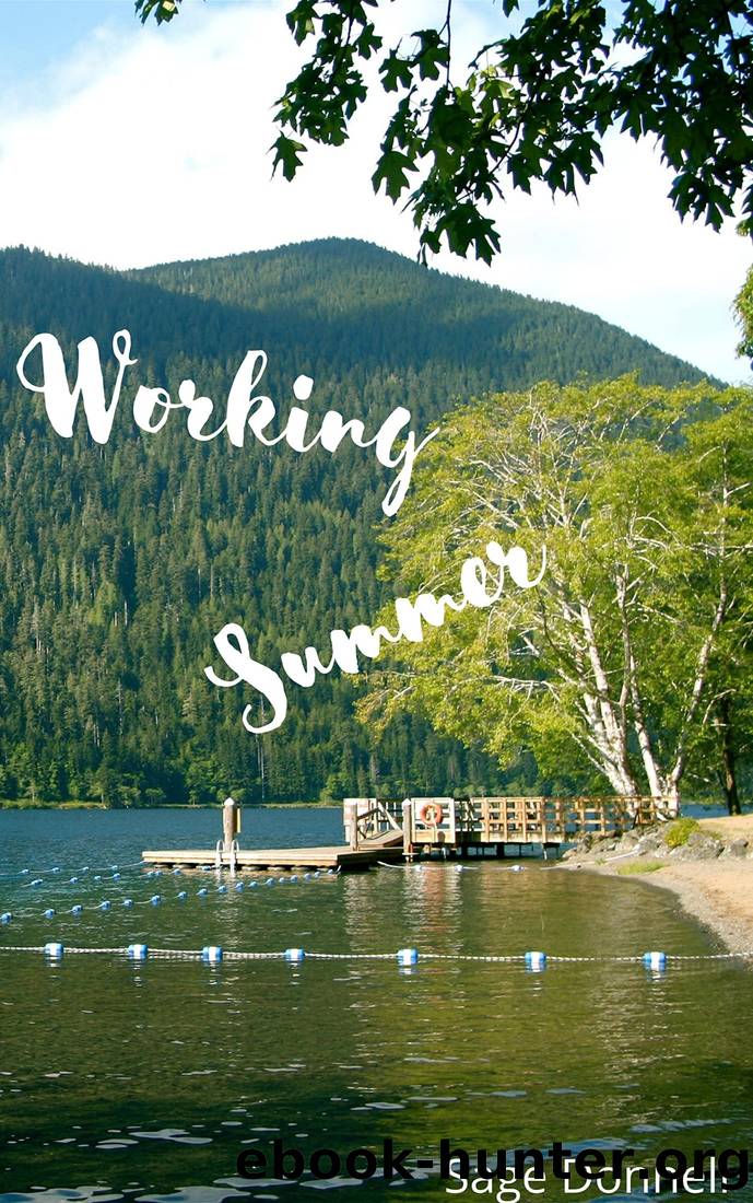 Working Summer: A Holiday Romance Novella (Holiday Romances Book 5) by Sage Donnell