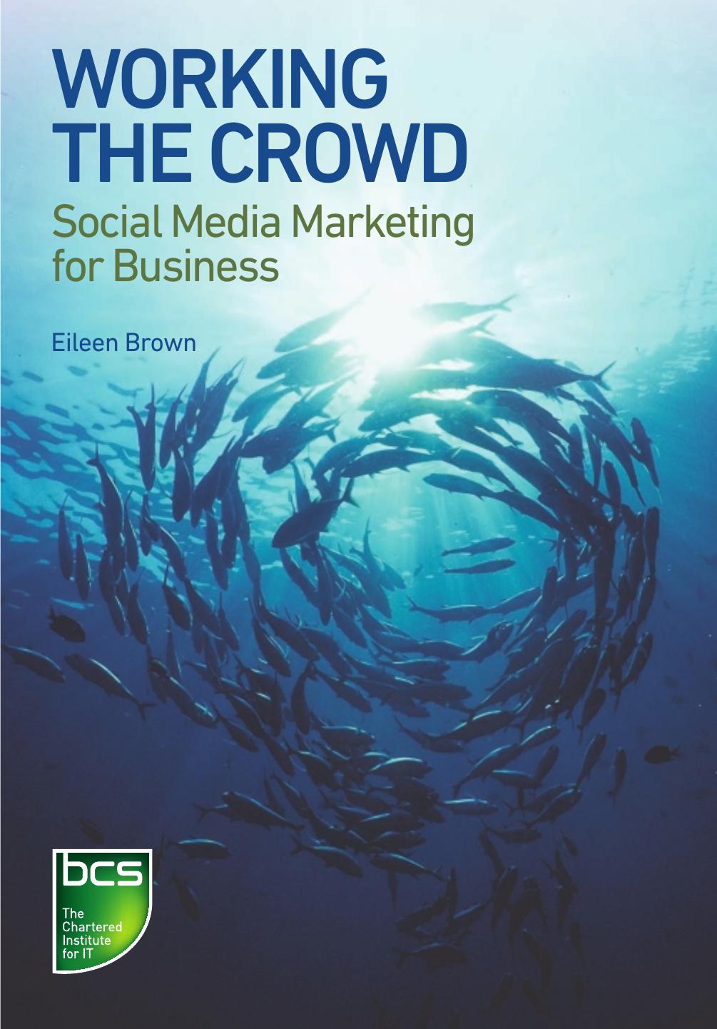 Working the Crowd: Social Media Marketing for Business (repost) by Eileen Brown