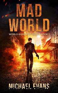 World Gone Mad (Book 1): Mad World by Evans Michael