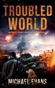 World Gone Mad | Book 3 | Troubled World by Evans Michael
