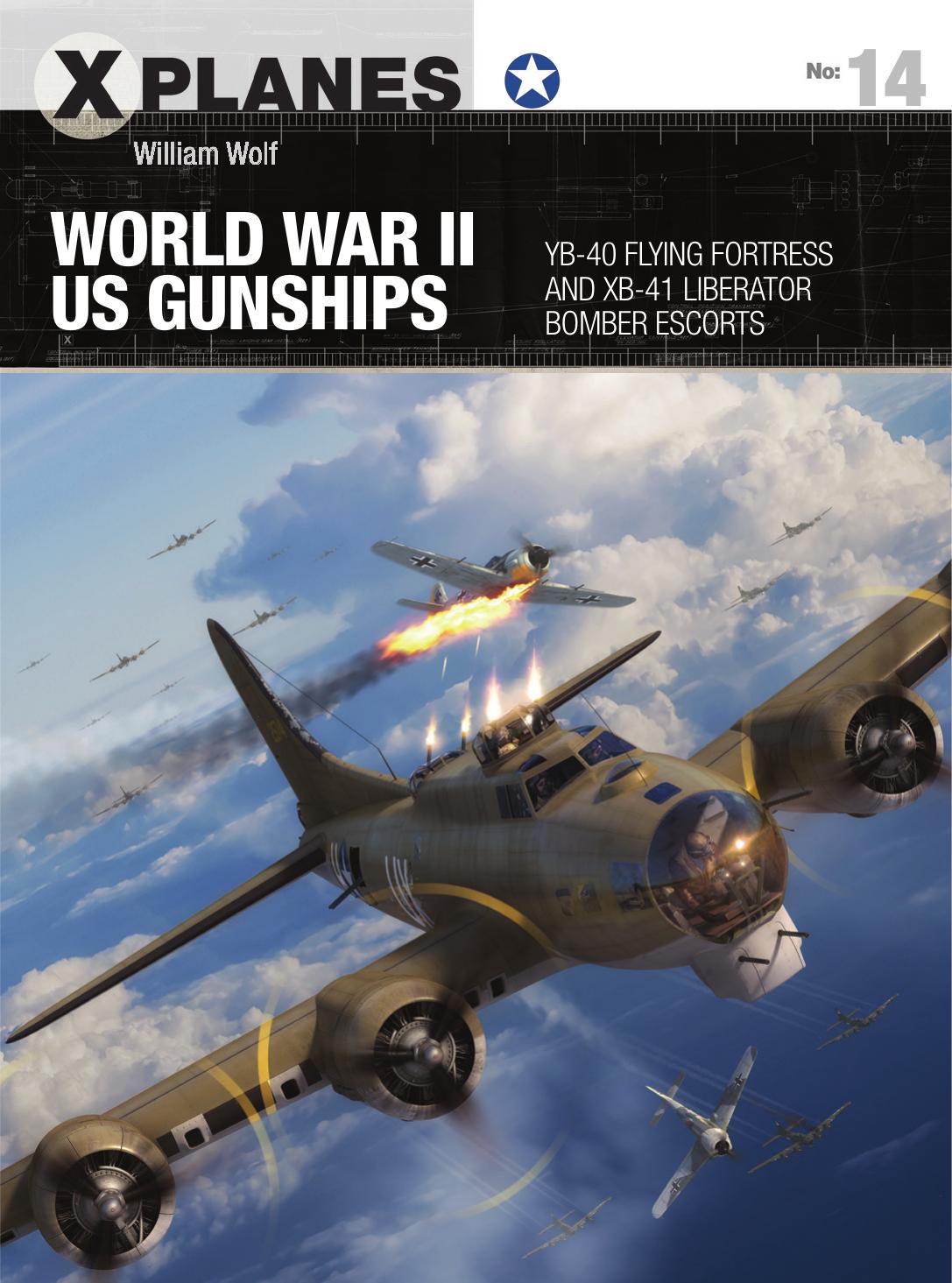 World War II US Gunships: YB-40 Flying Fortress and XB-41 Liberator Bomber Escorts Book by William Wolf