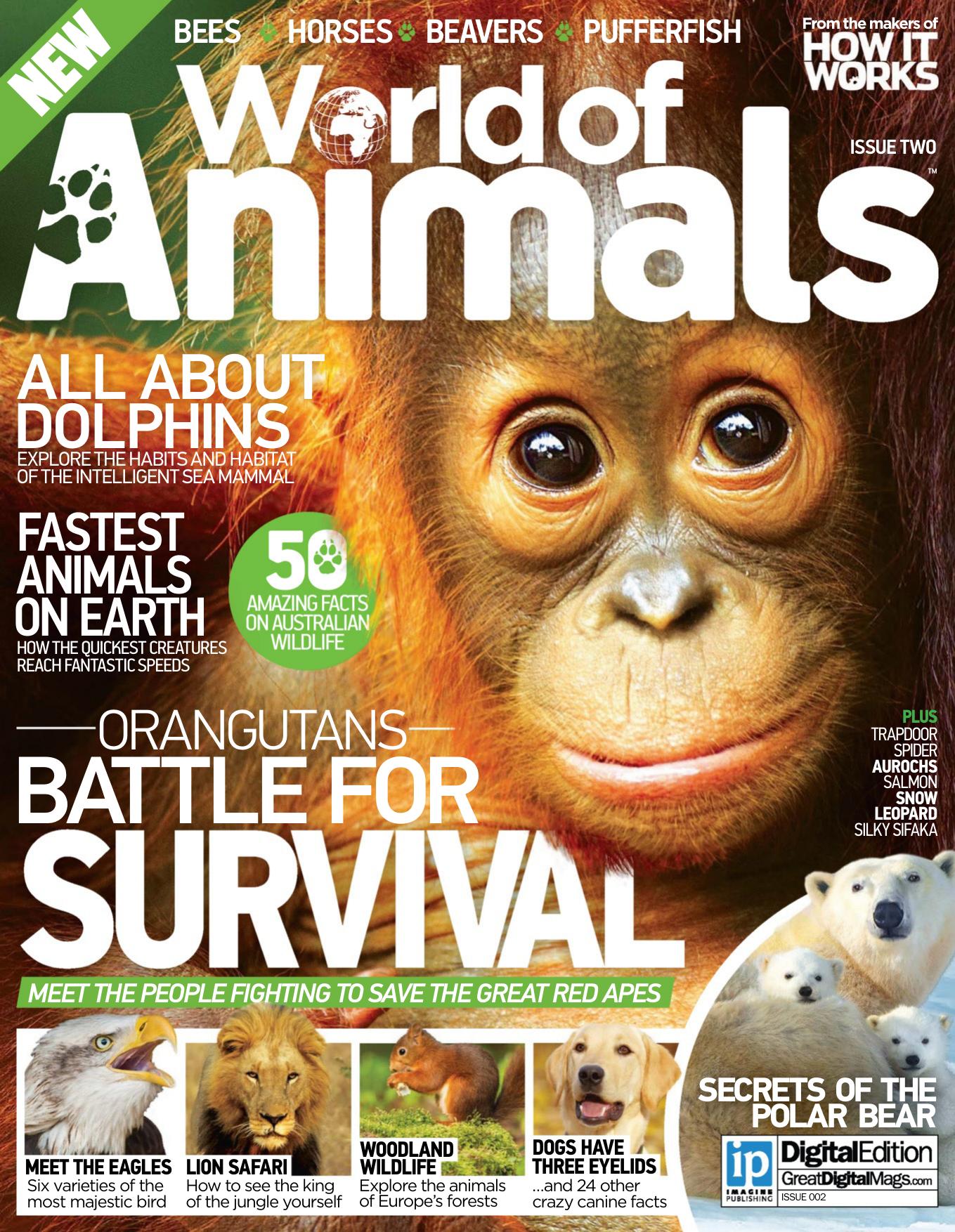 World of Animals - Issue No. 2 by Unknow