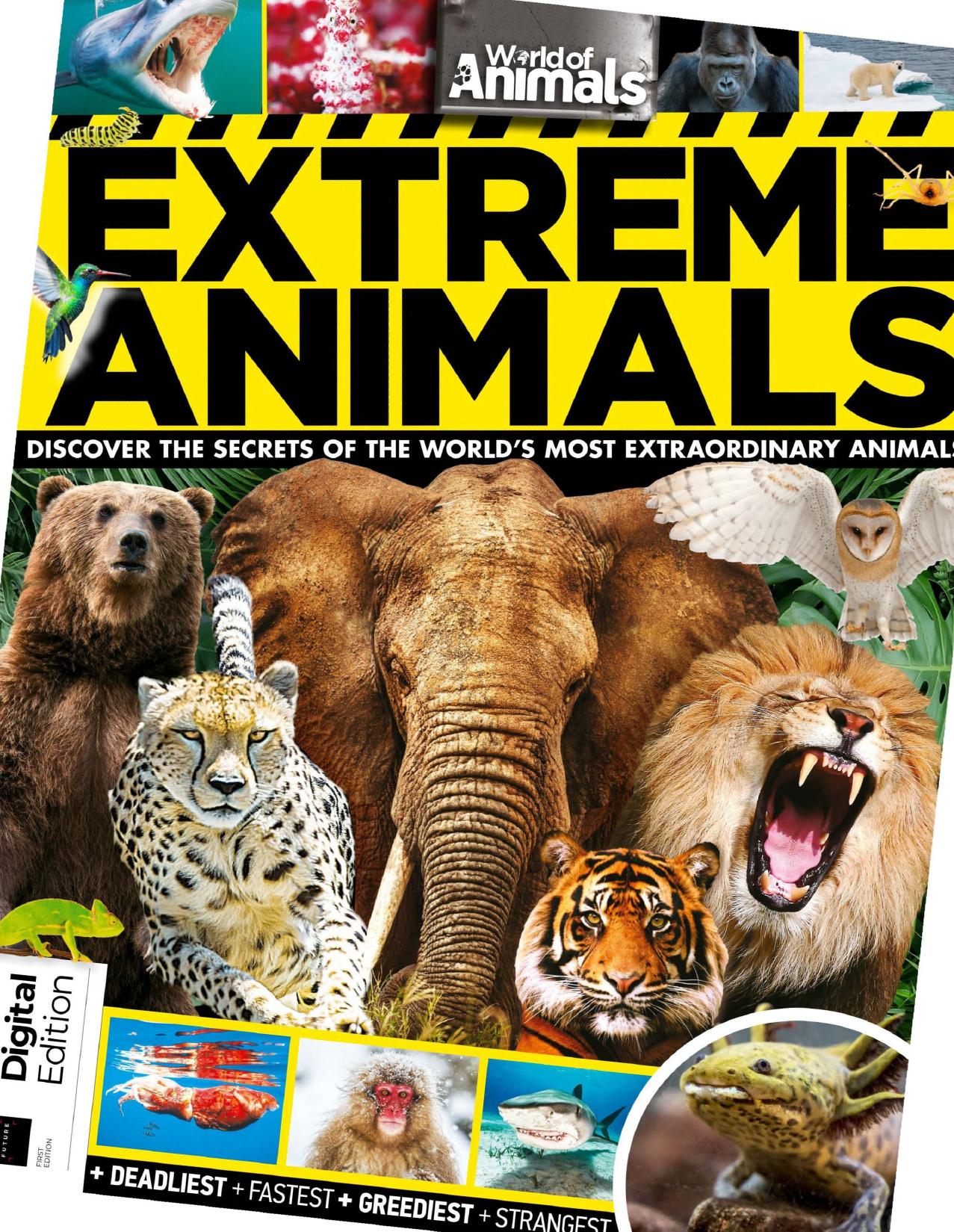 World of Animals by Extreme Animals OCR