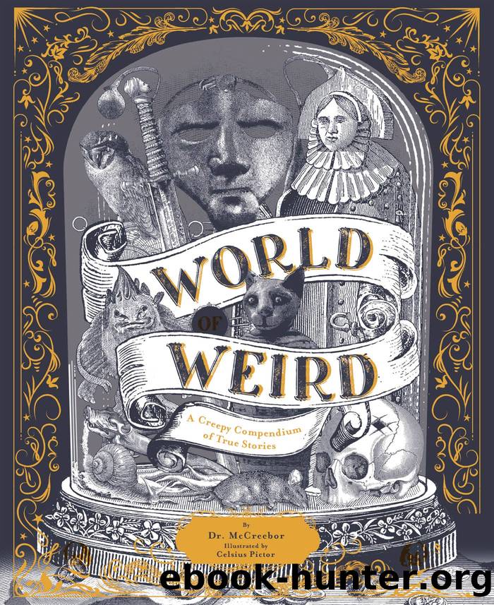 World of Weird by Tom Adams