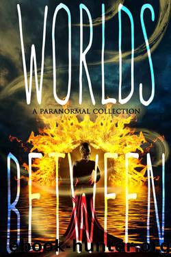 Worlds Between by unknow