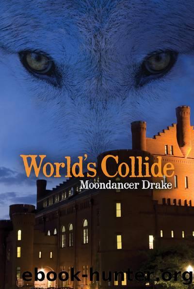 Worlds Collide by Moondancer Drake