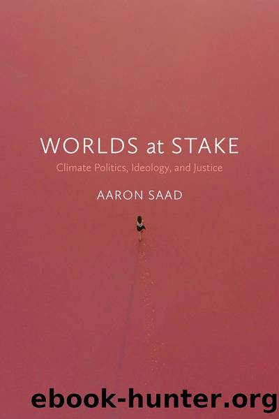 Worlds at Stake by Aaron Saad
