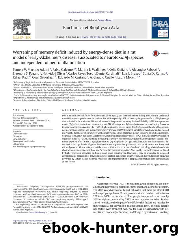 Worsening of memory deficit induced by energy-dense diet in a rat model of early-Alzheimer's disease is associated to neurotoxic AÎ² species and independent of neuroinflammation by unknow
