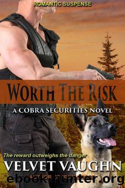 Worth the Risk (COBRA Securities Book 21) by Velvet Vaughn
