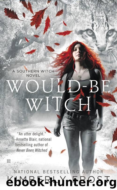Would-be Witch by Kimberly Frost