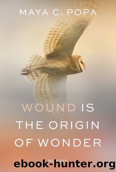 Wound Is the Origin of Wonder by Maya C. Popa
