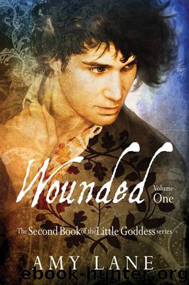 Wounded, Volume 1 by Amy Lane