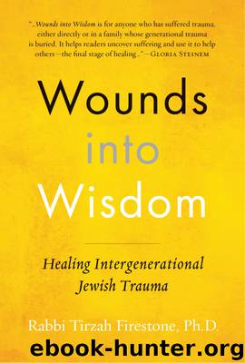 Wounds into Wisdom by Tirzah Firestone