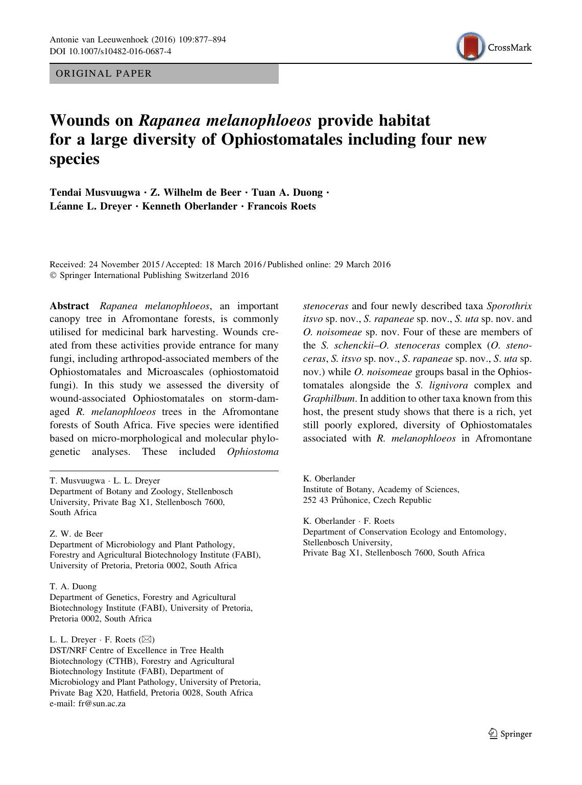 Wounds on Rapanea melanophloeos provide habitat for a large diversity of Ophiostomatales including four new species by unknow