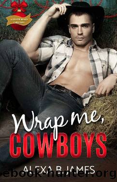 Wrap Me, Cowboys_A Reverse Harem Forbidden Romance by Alexa B. James