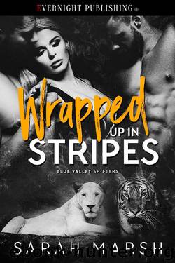 Wrapped Up in Stripes by Sarah Marsh