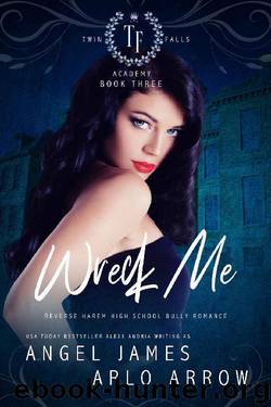 Wreck Me (Reverse Harem Bully High School Romance) (Twin Falls Academy Book 3) by Angel James & Arlo Arrow